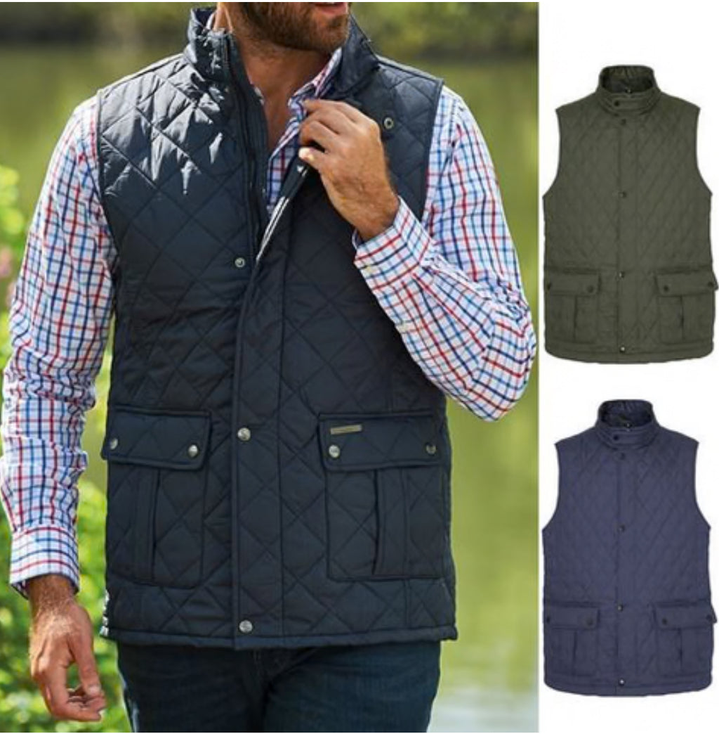 Men’s champion Ashby quilted gilet